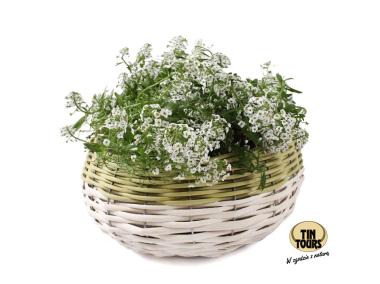 Zdjęcie: Koszyk do obsadzania 25x25x13 cm TIN TOURS