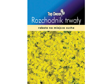 Zdjęcie: Rozchodnik trwały TOP DECOR