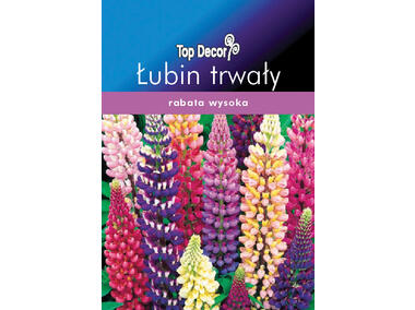 Zdjęcie: Łubin trwały TOP DECOR
