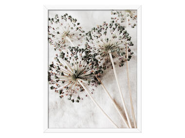 Zdjęcie: Obraz Modernpik 30x40 cm pure STYLER