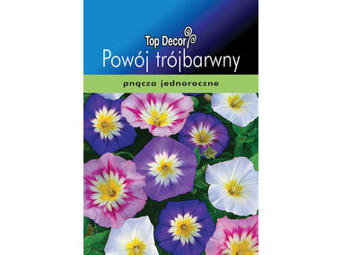 Zdjęcie: Powój trójbarwny TOP DECOR