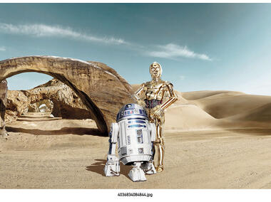 Zdjęcie: Fototapeta Star Wars Lost Droids VENA