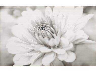 Zdjęcie: Płytka dekor Garda flower 25x40 cm CERSANIT