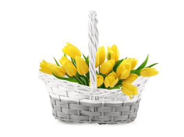 Zdjęcie: Koszyk z folią do obsadzania kwiatami 35x24x13x16/38 cm TIN TOURS