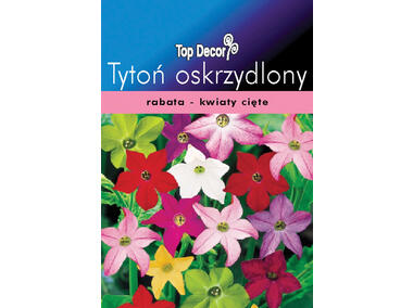 Zdjęcie: Tytoń oskrzydlony TOP DECOR