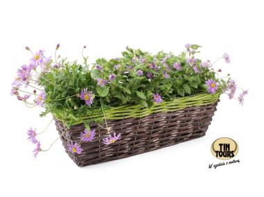 Zdjęcie: Balkonówka doniczka wiklinowa z folią na kwiaty 42x16x12 cm brąz-zieleń TIN TOURS
