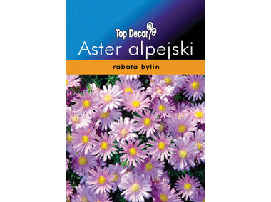 Zdjęcie: Aster alpejski TOP DECOR