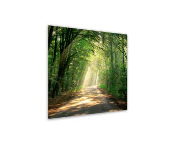 Zdjęcie: Obraz Glasspik Nature 30x30 cm Ex365 Road STYLER
