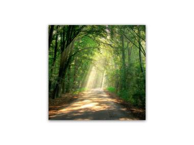 Zdjęcie: Obraz Glasspik Nature 30x30 cm Ex365 Road STYLER