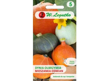Zdjęcie: Dynia olbrzymia mieszanka odmian W. LEGUTKO