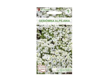 Zdjęcie: Gęsiówka alpejska biała 0,2 g W.LEGUTKO