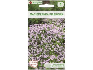 Zdjęcie: Macierzanka piaskowa różowa 0.08 g W. LEGUTKO