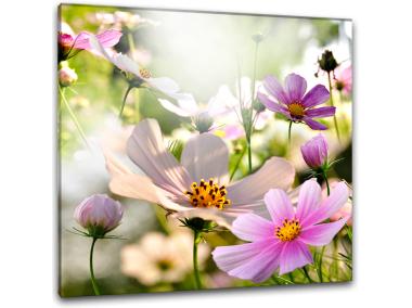 Zdjęcie: Obraz Glasspik 30x30 cm Gl005 Astry1 STYLER