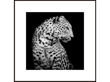 Zdjęcie: Obraz Artbox 50x50 cm Leopard STYLER