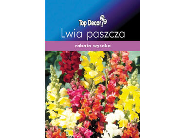 Zdjęcie: Lwia paszcza TOP DECOR