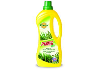 Zdjęcie: Nawóz do palm, juk i dracen Vit-6, 1 L PLANTA