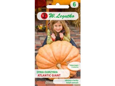 Zdjęcie: Dynia olbrzymia Atlantic Giant pomarańczowa W. LEGUTKO