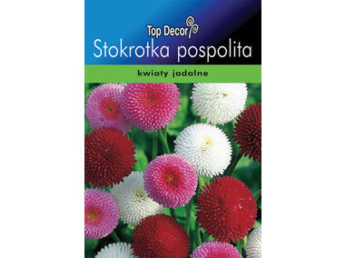 Zdjęcie: Stokrotka TOP DECOR