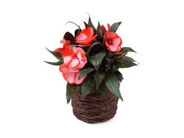 Zdjęcie: Osłonka z brzozy na doniczkę z folią 14x14x12 cm TIN TOURS