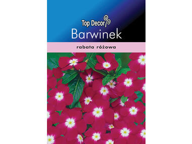Zdjęcie: Barwinek pospolity karłowy TOP DECOR