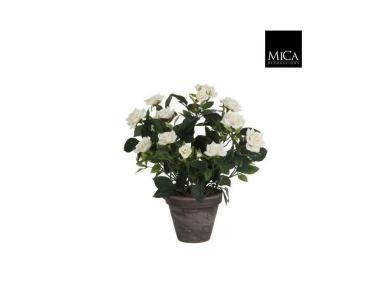 Zdjęcie: Róża biała w ceramicznej doniczce 11,5 cm - 33x25 cm DIRECT HG