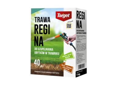 Zdjęcie: Nasiona traw do uzupełniania ubytków w trawniku Regina 1 kg TARGET