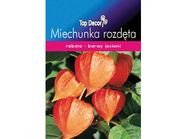 Zdjęcie: Miechunka rozdęta TOP DECOR
