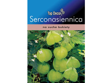 Zdjęcie: Serconasiennica TOP DECOR