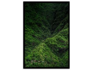 Zdjęcie: Plakat Framepic 50x70 cm Fp049 Jungle STYLER