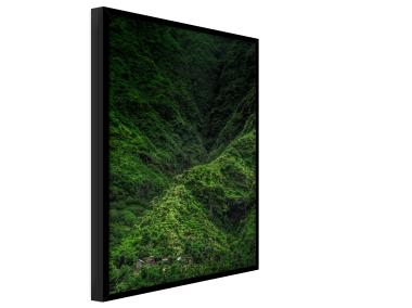 Zdjęcie: Plakat Framepic 50x70 cm Fp049 Jungle STYLER