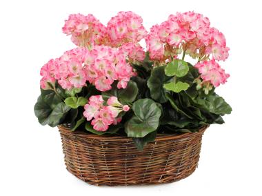 Zdjęcie: Kosz do obsadzania 36x28x16 cm TIN TOURS