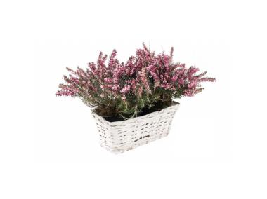 Zdjęcie: Osłonka wiklinowa z folią 23x14x9 cm biała prostokątna TIN TOURS