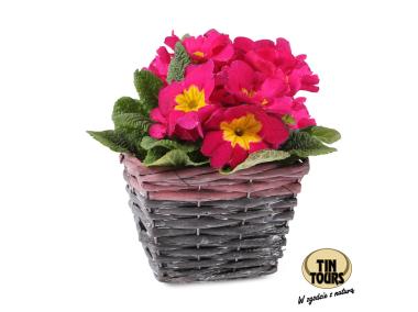 Zdjęcie: Osłonka na doniczkę z folią 14,5x14,5x11 cm kwadratowa TIN TOURS