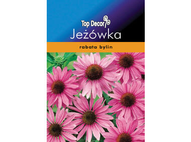 Zdjęcie: Rudbekia Jeżówka TOP DECOR