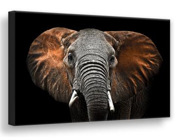 Zdjęcie: Obraz Canvas Silver1 85x113x2,8 cm Ex512 Red Elephant STYLER