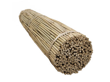 Zdjęcie: Tyczki bambusowe 180 cm TIN TOURS