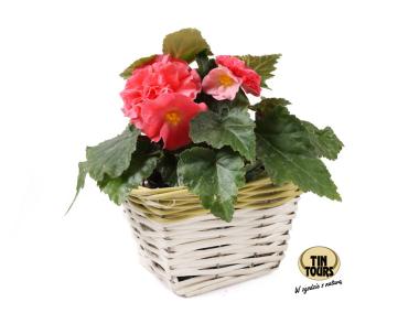 Zdjęcie: Osłonka wiklinowa 16x16x12 cm kwadratowa TIN TOURS