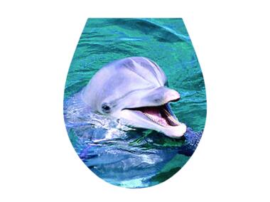 Naklejka na deskę sedesową 3 D Delfin TYCNER