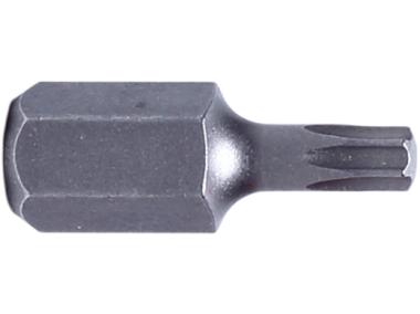 Zdjęcie: Końcówki 3/810 mm Torx t20 l=30 mm 2 szt., S2 PROLINE