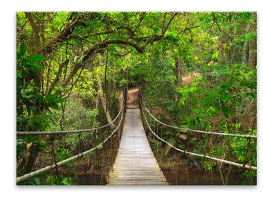 Zdjęcie: Obraz Glasspik Nature  80x120 cm Ex370 Forest Bridge STYLER