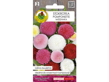 Zdjęcie: Stokrotka Pomponette mieszana 0,1 g PNOS