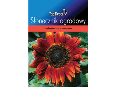 Zdjęcie: Słonecznik ogrodowy TOP DECOR
