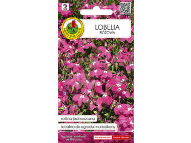 Zdjęcie: Lobelia różowa 0,1 g PNOS