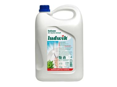 Zdjęcie: Płyn do naczyń balsam z aloesem 5 kg LUDWIK