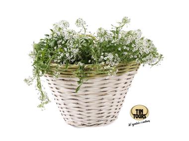 Zdjęcie: Kosz wiszący na ścianę 28x19x20 cm/27 cm KRB TIN TOURS