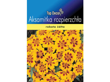 Zdjęcie: Aksamitka rozpierzchła TOP DECOR
