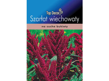 Zdjęcie: Szarłat wiechowaty TOP DECOR