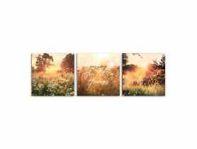 Set obrazów na płótnie Canvas 3x 32x32 cm summery STYLER