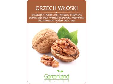 Zdjęcie: Orzech włoski GARTENLAND