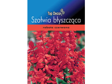 Zdjęcie: Szałwia błyszcząca TOP DECOR